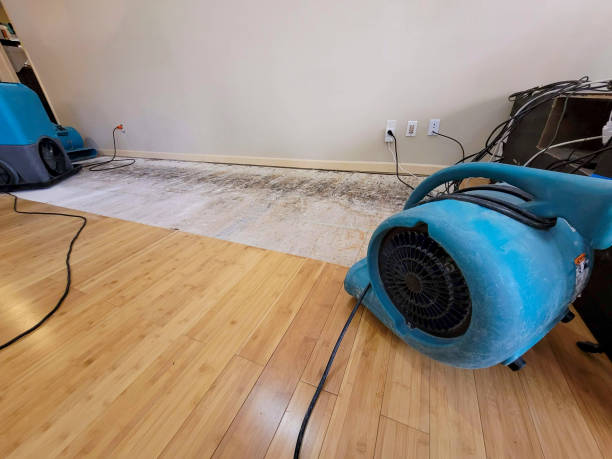 Professional Water Extraction technician working in New Marshfield, OH